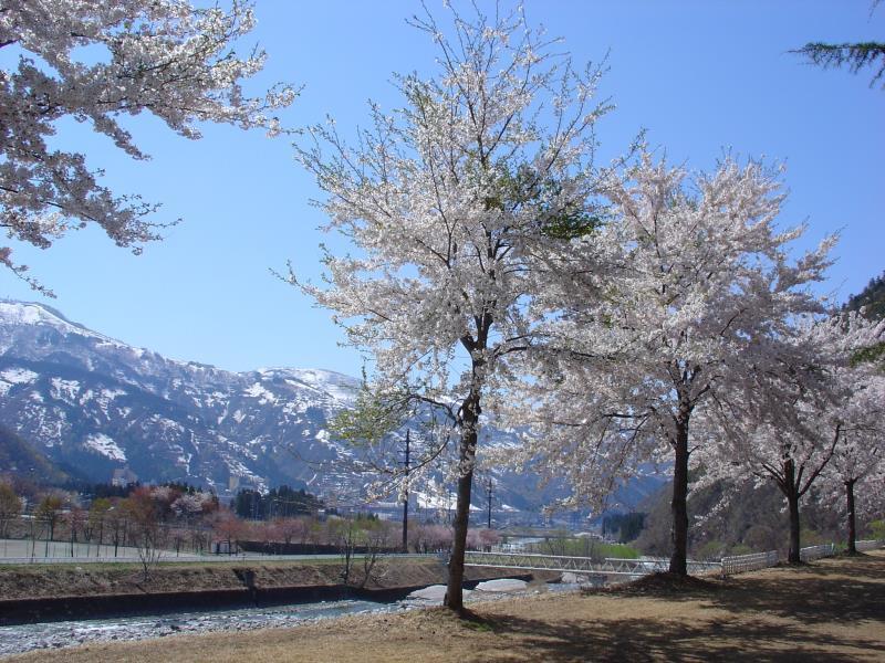 Pension Noah Yuzawa  Extérieur photo